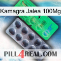 Kamagra Jelly 100Mg new04